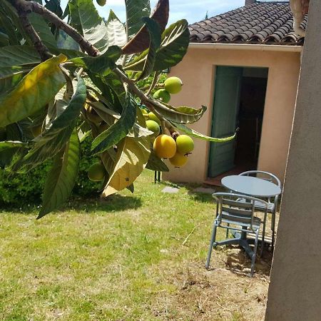 Grand Studio La Roquette-sur-Siagne Dış mekan fotoğraf