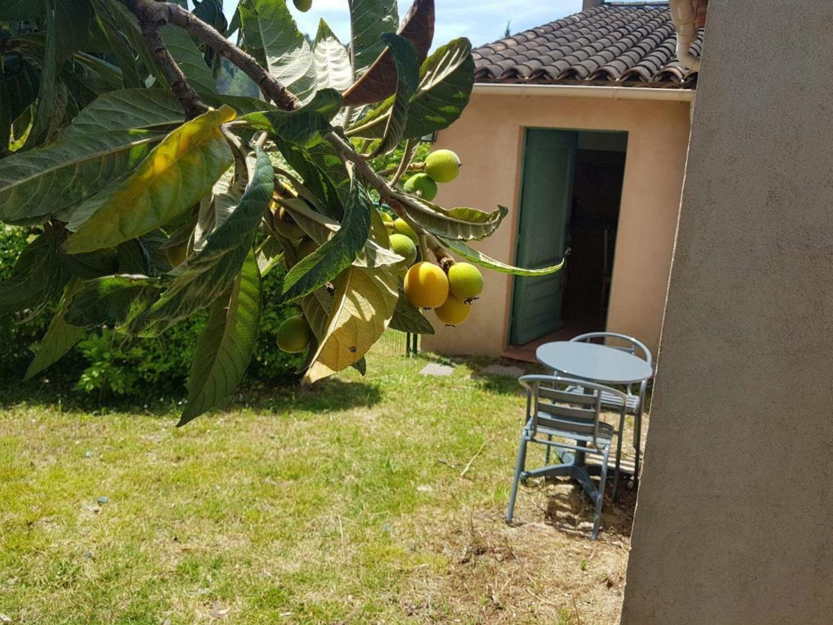 Grand Studio La Roquette-sur-Siagne Dış mekan fotoğraf