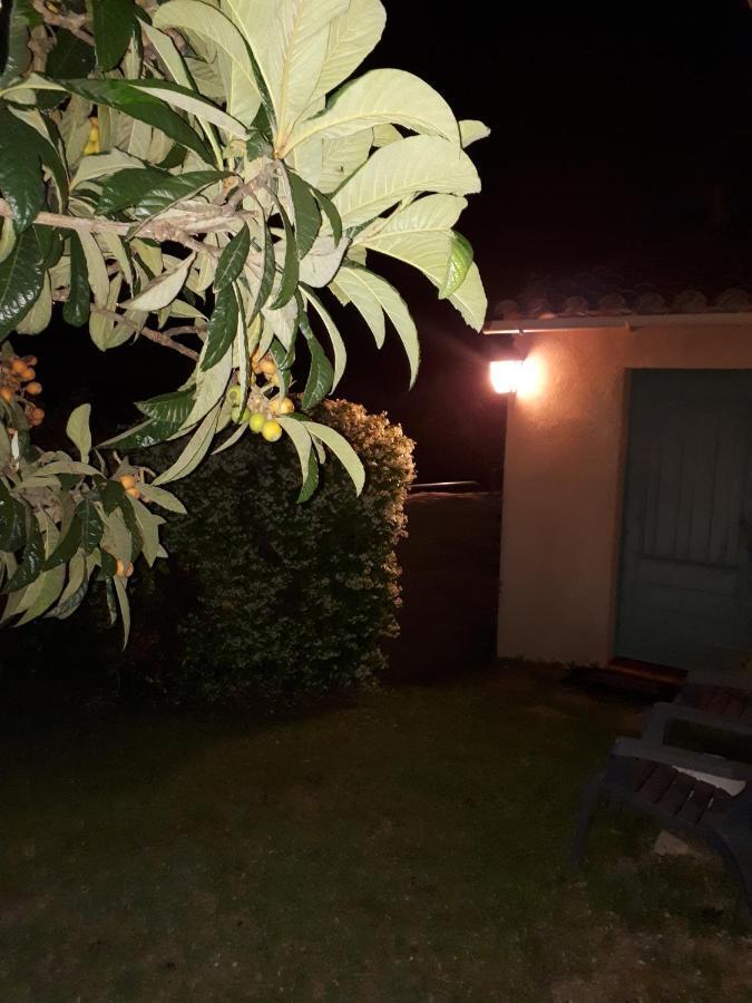 Grand Studio La Roquette-sur-Siagne Dış mekan fotoğraf